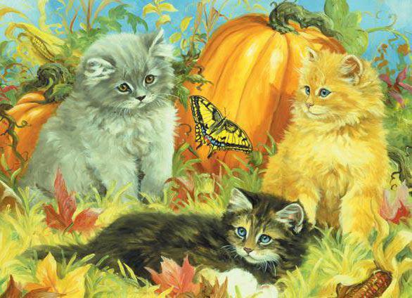 я устал собирать тыквы - котики - оригинал