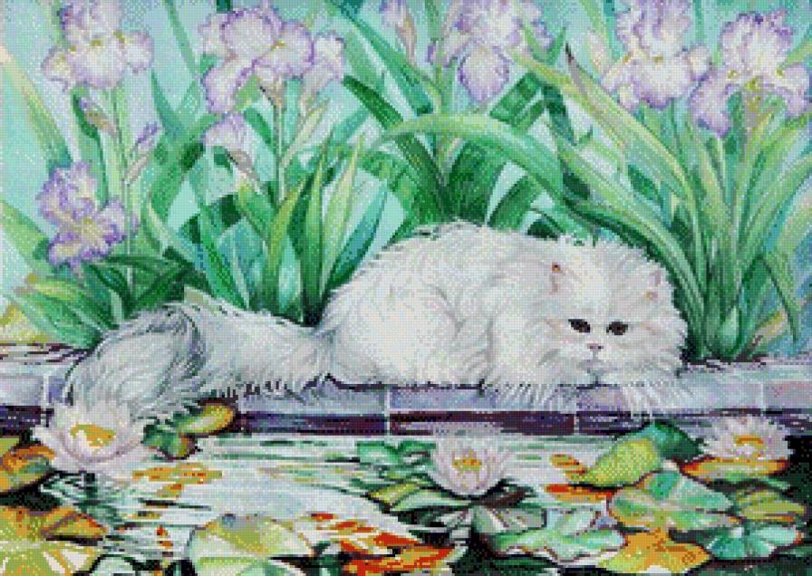 и что там такое? - котики - предпросмотр