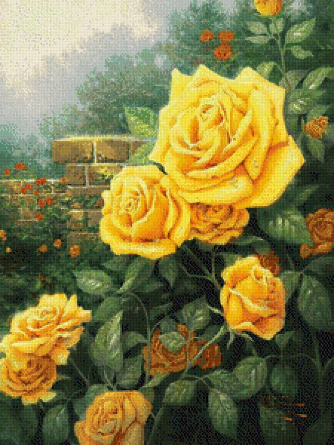 желтое чудо - розы - предпросмотр