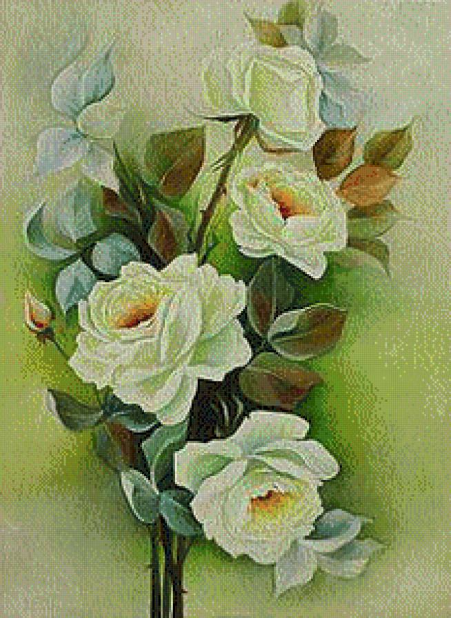 розы - розы - предпросмотр