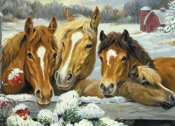 лошади - животные - оригинал