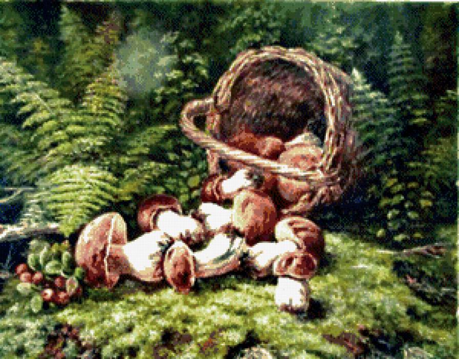 дары леса - натюрморт, грибы, природа, лес - предпросмотр