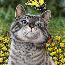 Схема вышивки «красавчик»