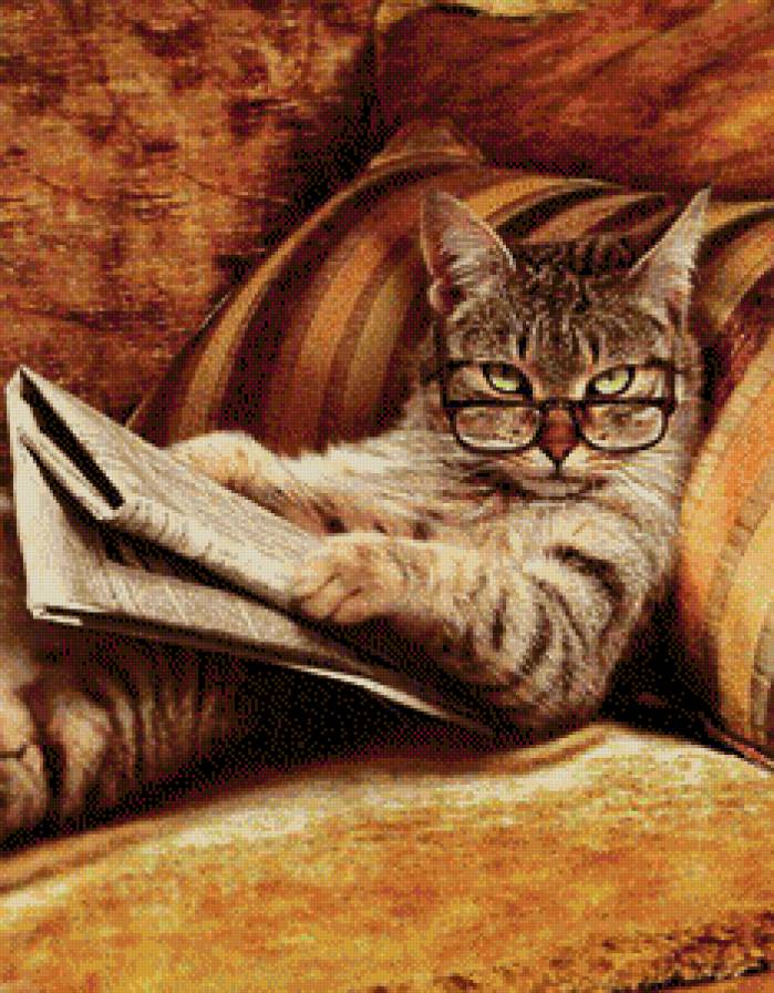 ты что-то хотел? - котики - предпросмотр