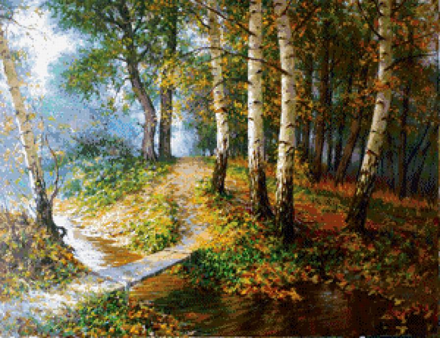 лесной ручей - березы, лес, пейзаж, ручей, природа - предпросмотр