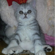 Схема вышивки «jkl»