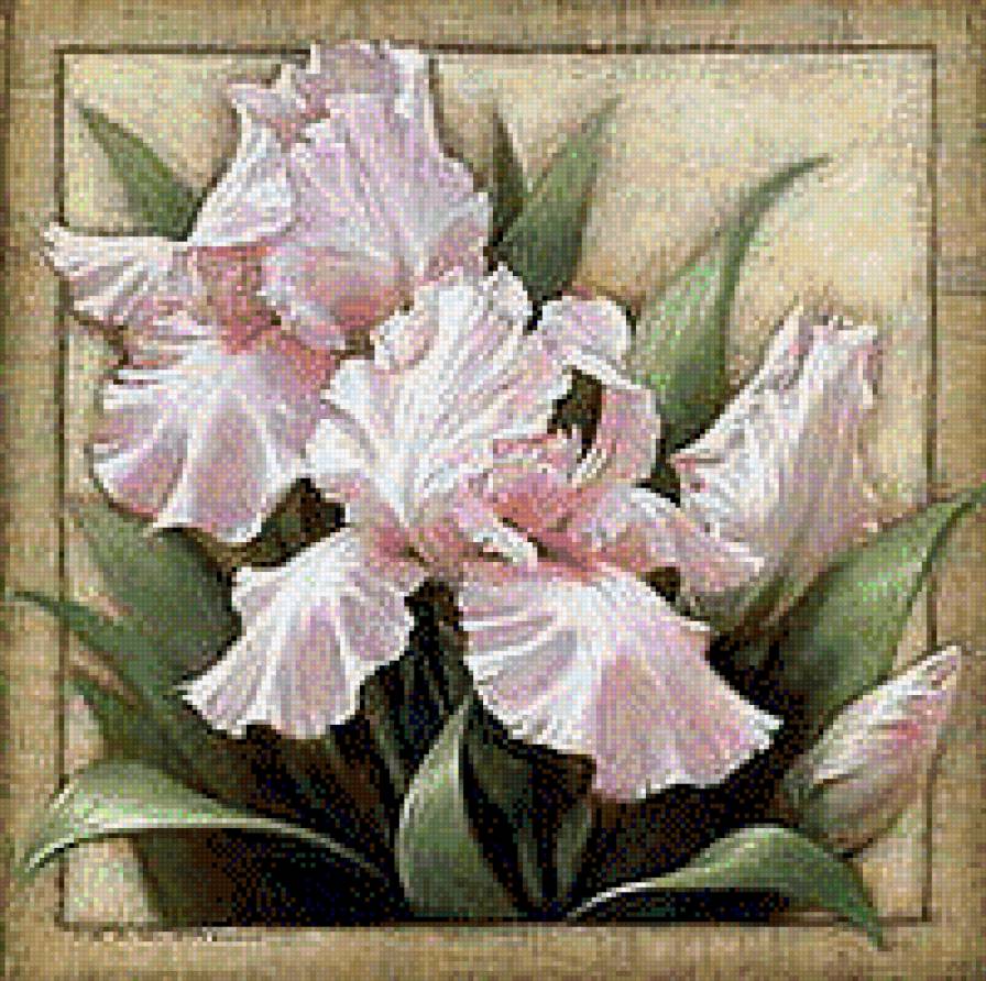 Ирис 2 - предпросмотр