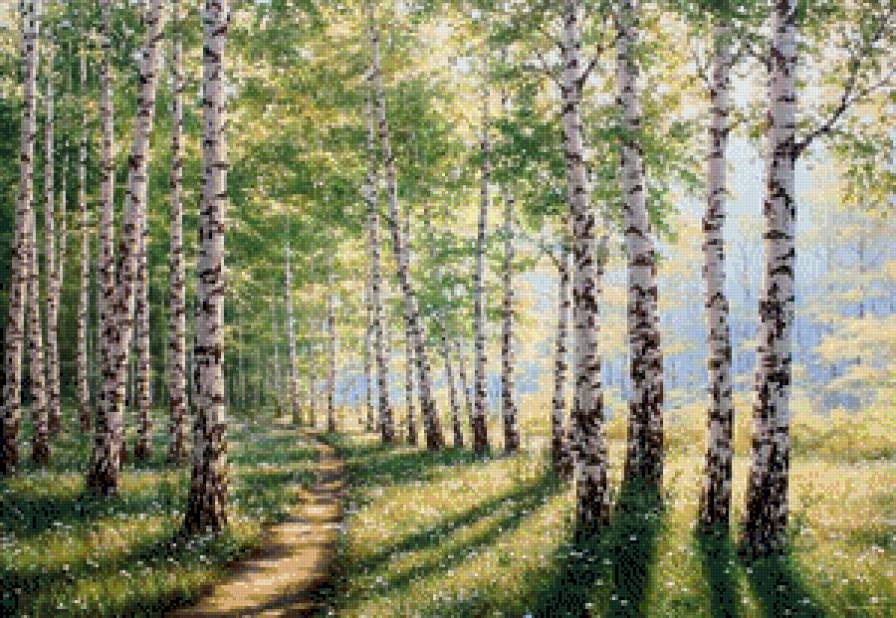 Березы 3 - березы - предпросмотр