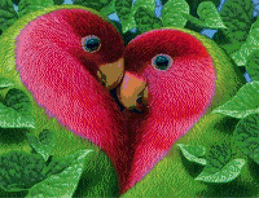 любовь попугаев - птицы, попугай - предпросмотр