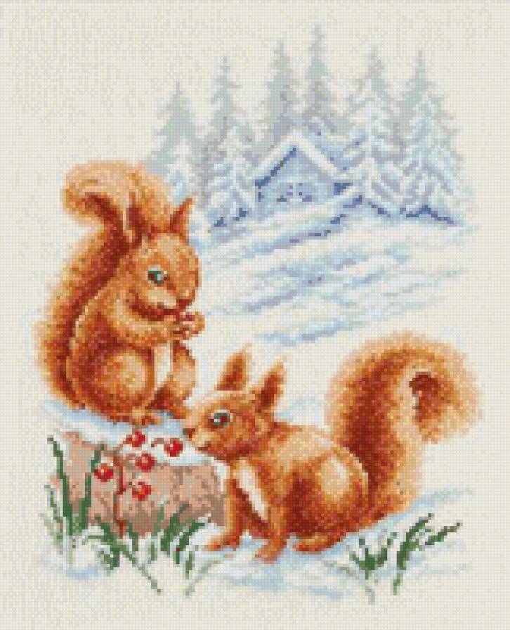 Белки - дом, зима, животные, ягоды - предпросмотр