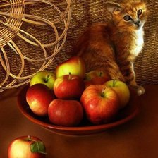 Схема вышивки «кошка с яблоками»