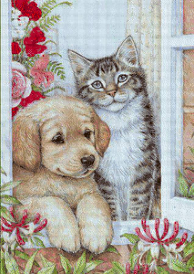 неразлучные друзья - животные - предпросмотр