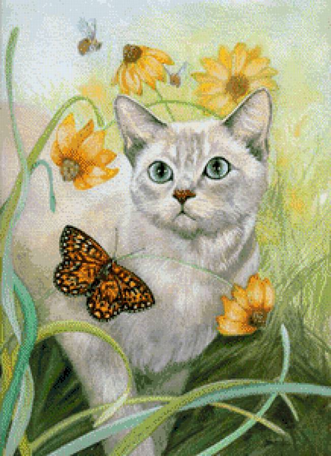 удивление - котики - предпросмотр