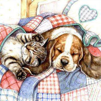 сони - животные - оригинал