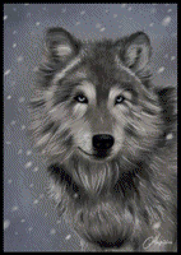 волк - волк, животные - предпросмотр