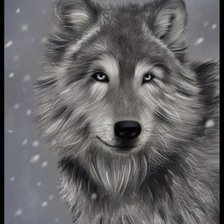 Оригинал схемы вышивки «волк» (№561596)