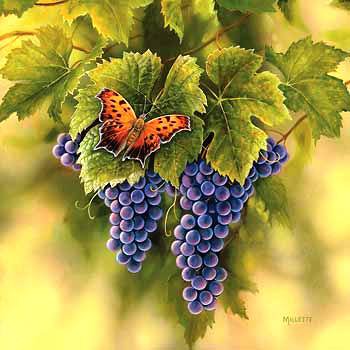 №561671 - виноград, бабочка - оригинал