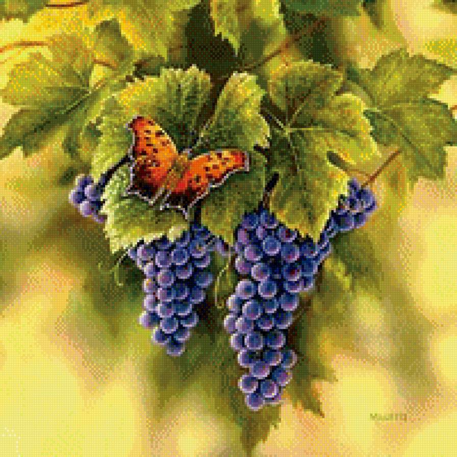 №561671 - виноград, бабочка - предпросмотр