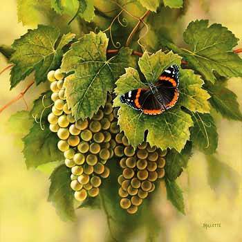 №561672 - виноград, бабочка - оригинал