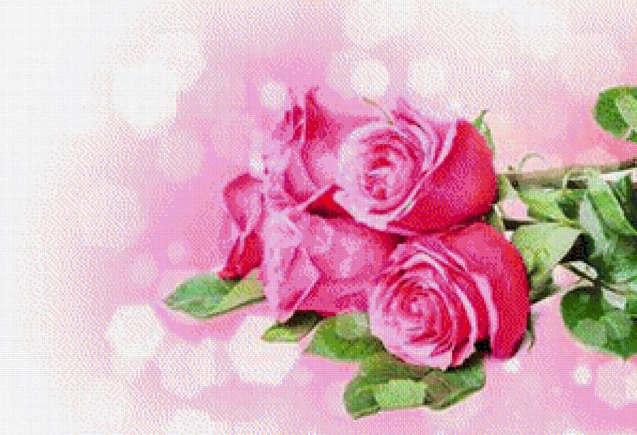 Розовое чудо - предпросмотр