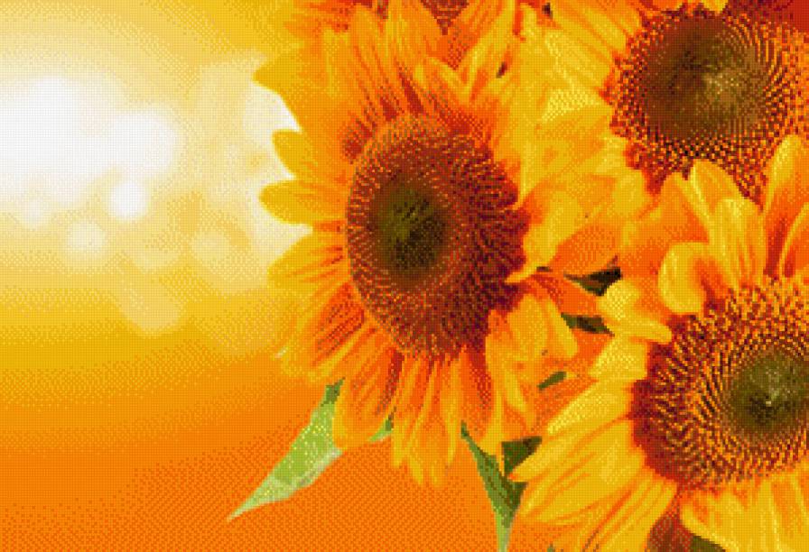 Подсолнухи - предпросмотр