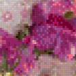 Предпросмотр схемы вышивки «букет» (№561835)