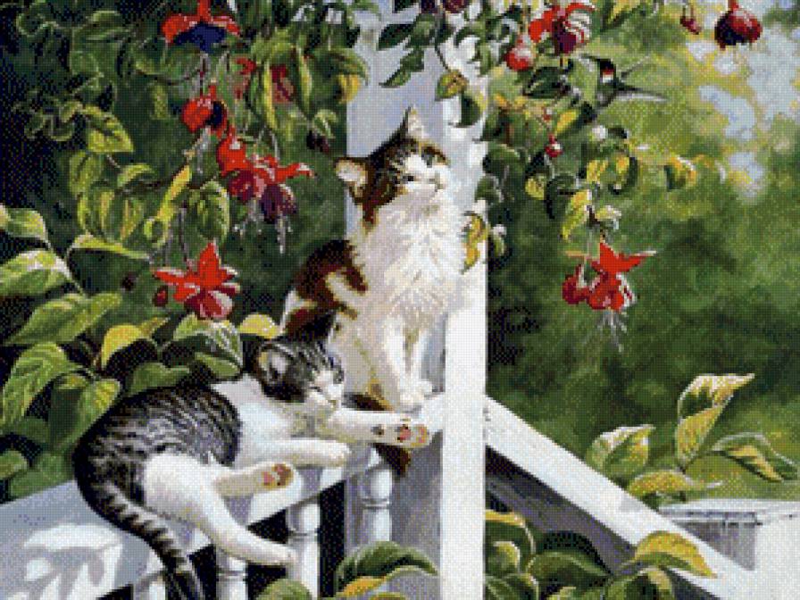 милашки - котики - предпросмотр