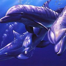 Схема вышивки «дельфин»