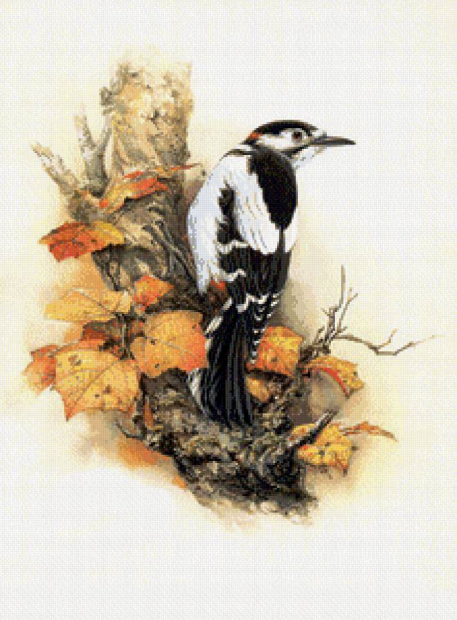 птицы - птицы, цветы - предпросмотр