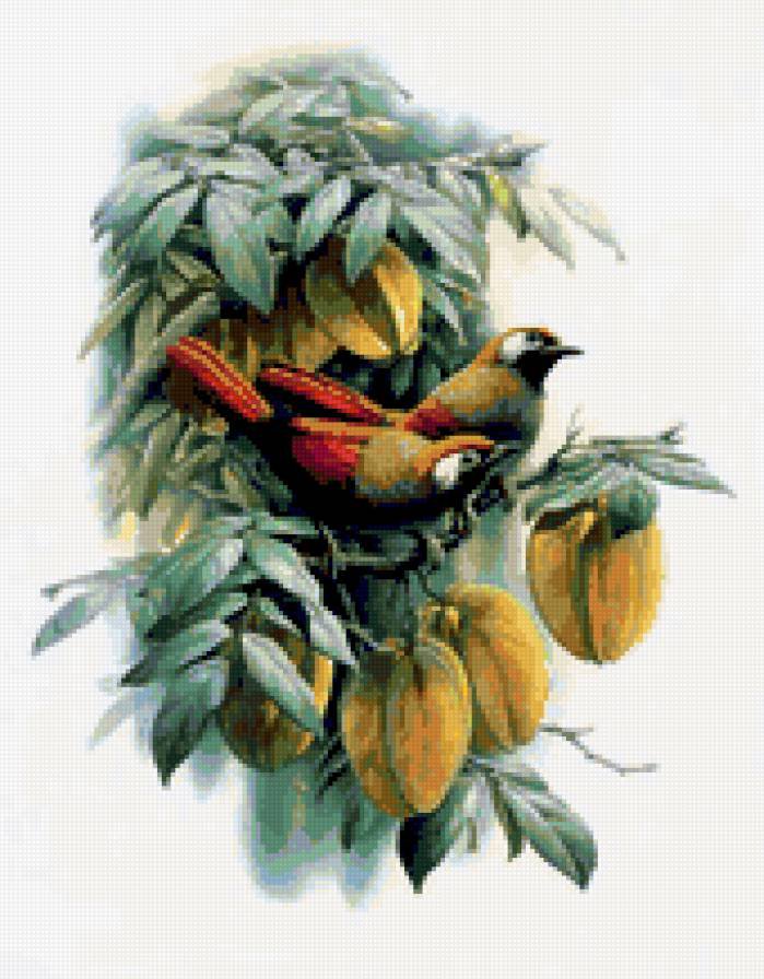 птицы - птицы, цветы - оригинал