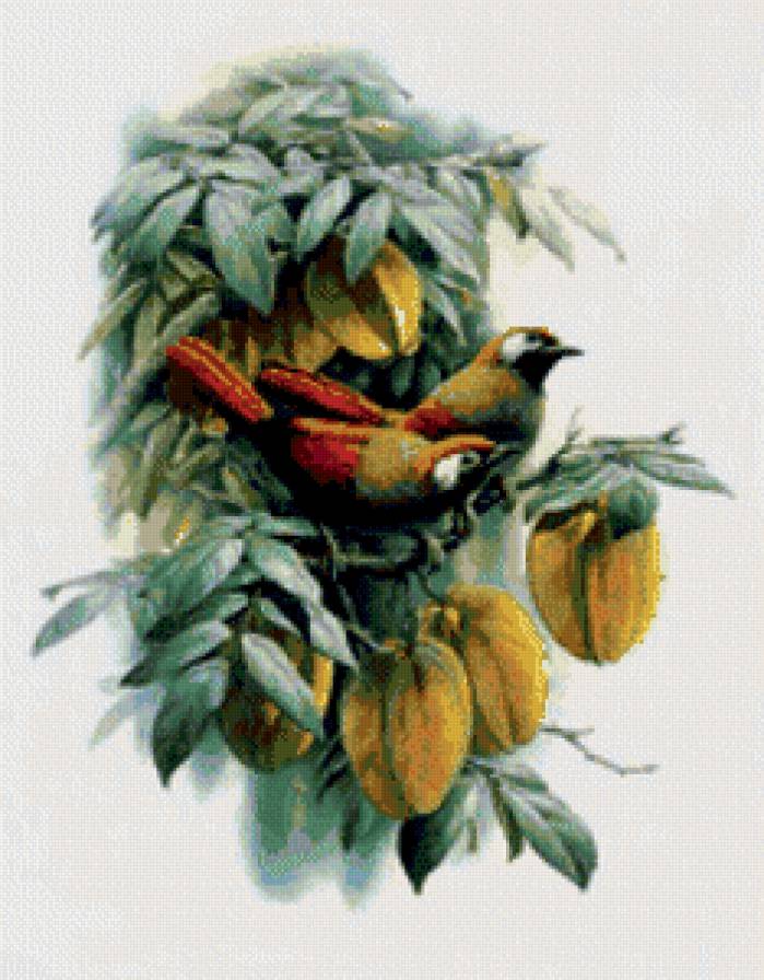 птицы - птицы, цветы - предпросмотр