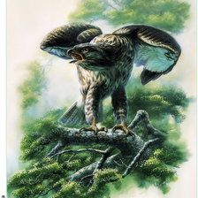 Схема вышивки «птицы»