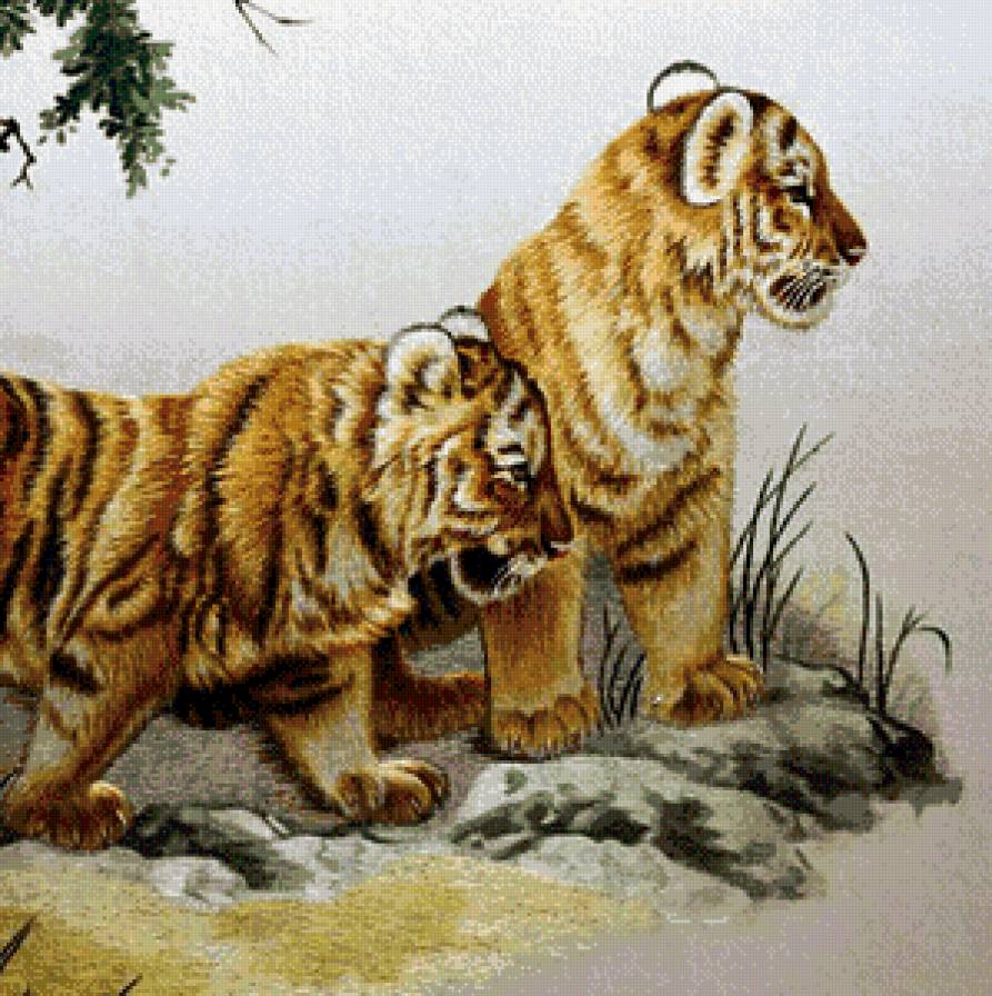 тигрята - подушка, природа, животные, тигры - предпросмотр