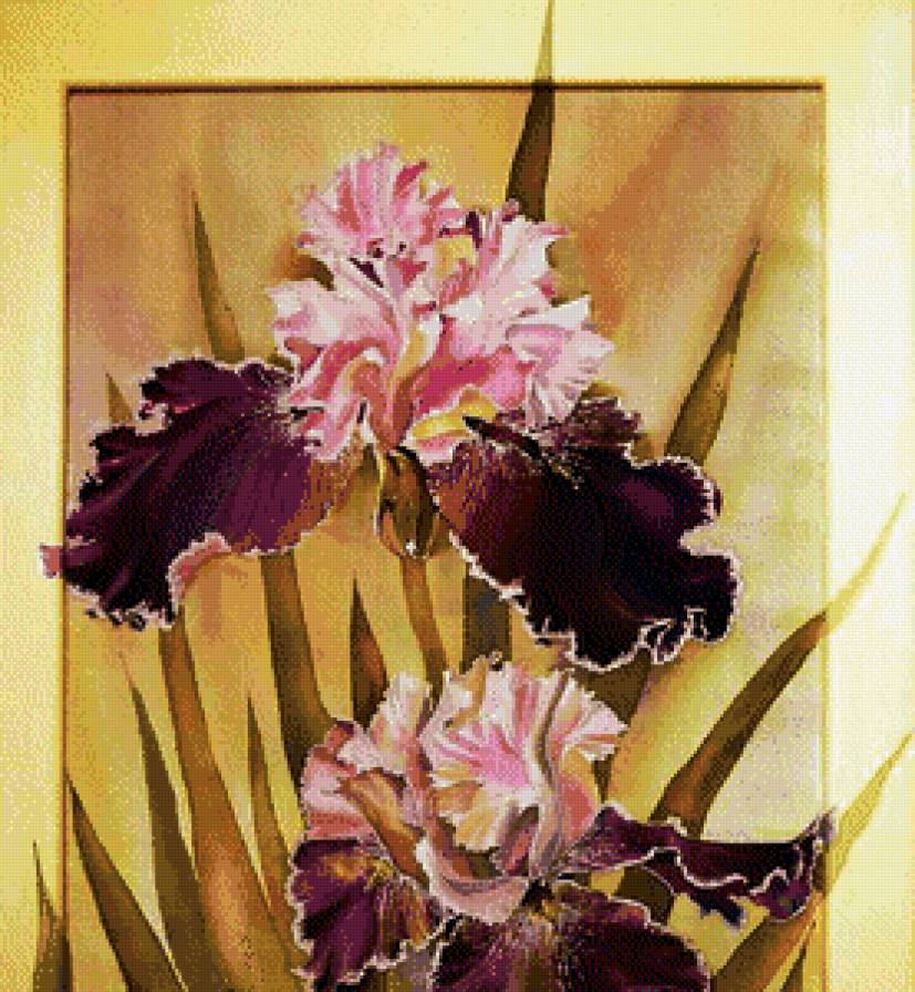 пано ирисы - ирисы, цветы, пано, картина, природа - предпросмотр