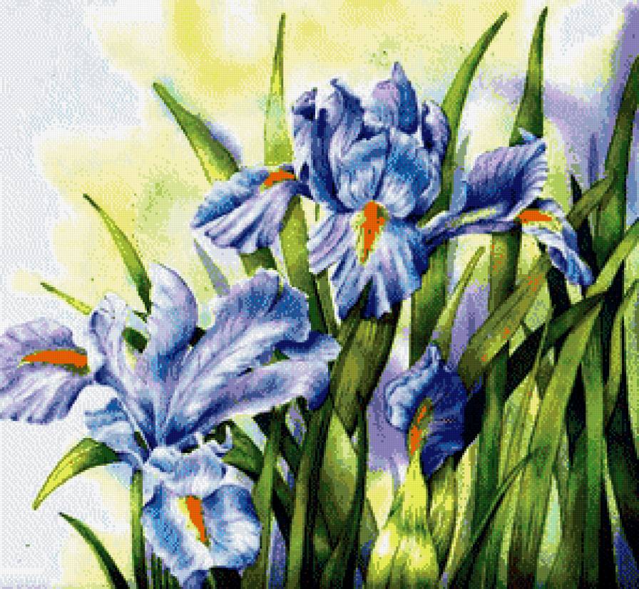 пано ирисы - цветы, природа, пано, картина, ирисы - предпросмотр