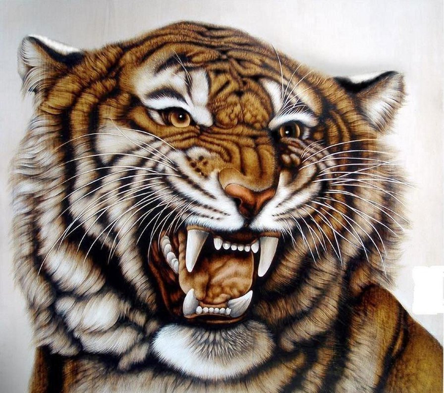 тигр - животные, природа, тигры - оригинал