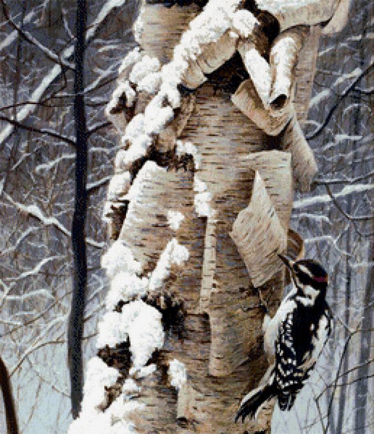 пано птица - зима, птица, лес, пано, снег, береза - предпросмотр