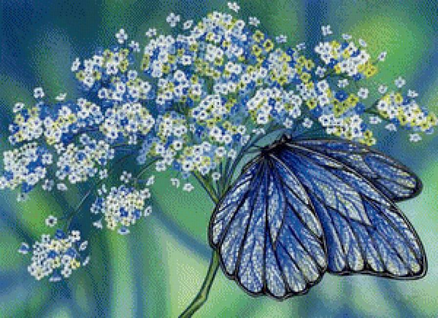 Бабочка - бабочка - предпросмотр