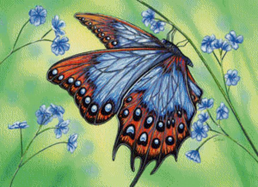 Бабочка - бабочка - предпросмотр