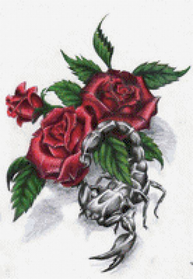 скорпион в розах - цветы, скорпионы - предпросмотр