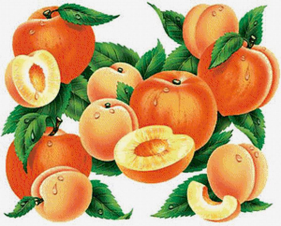 Абрикосы - абрикосы, фрукты - предпросмотр