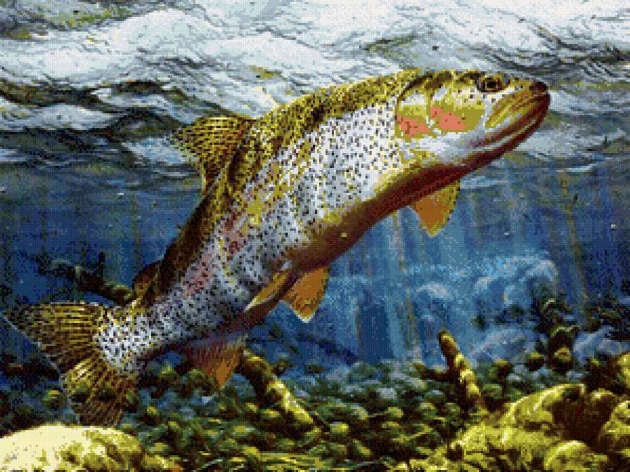 рыба - подводный мир, природа, рыбы - предпросмотр