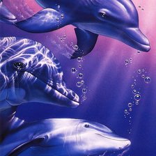 Схема вышивки «дельфины»