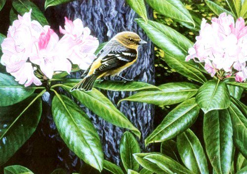 птица на ветке - цветы, природа, птицы - оригинал