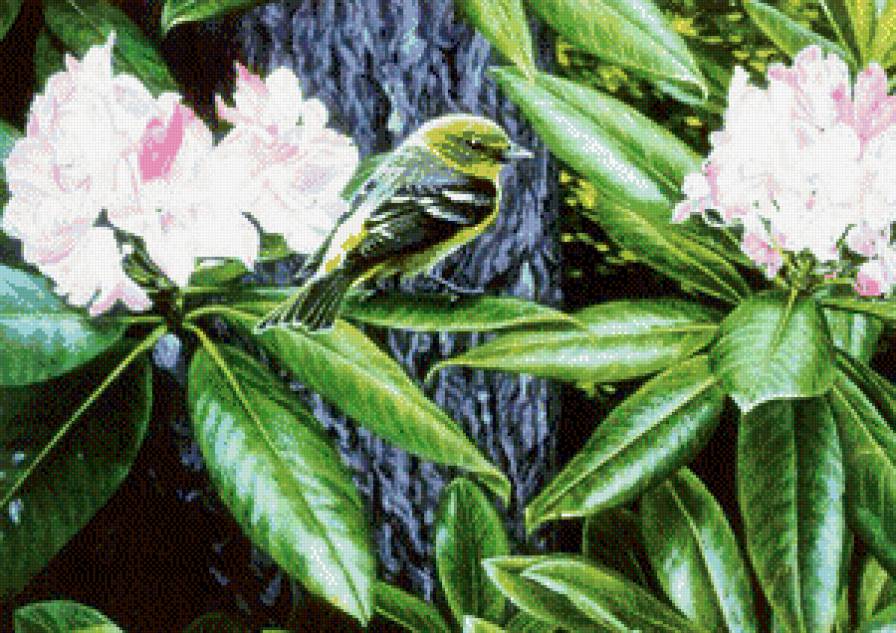 птица на ветке - природа, цветы, птицы - предпросмотр