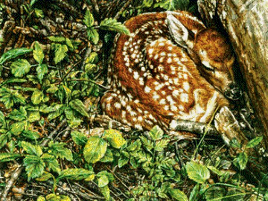 спрятался - природа, лес, животные, олени - предпросмотр