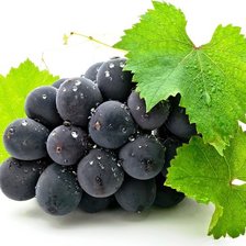 зрелый виноград