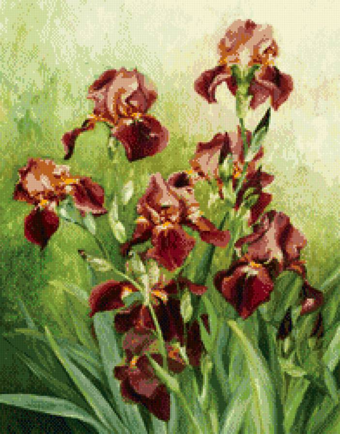 пано ирисы - ирисы, пано, природа, картина, цветы - предпросмотр