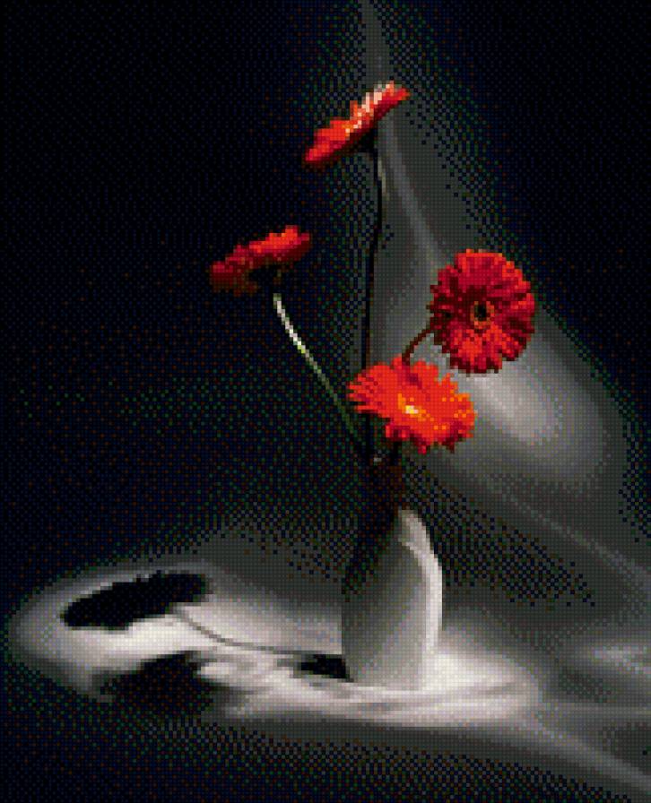 герберы - предпросмотр