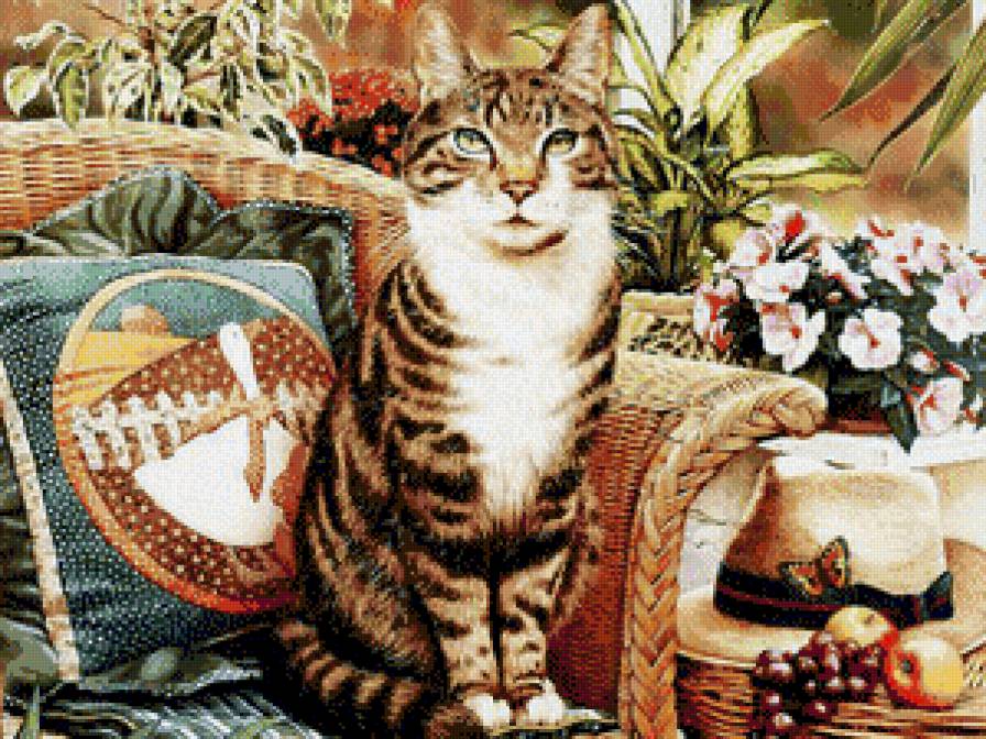 любимчик - котики - предпросмотр